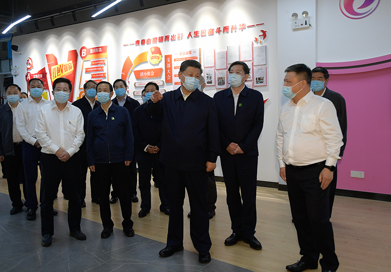 香港猛料免费资料