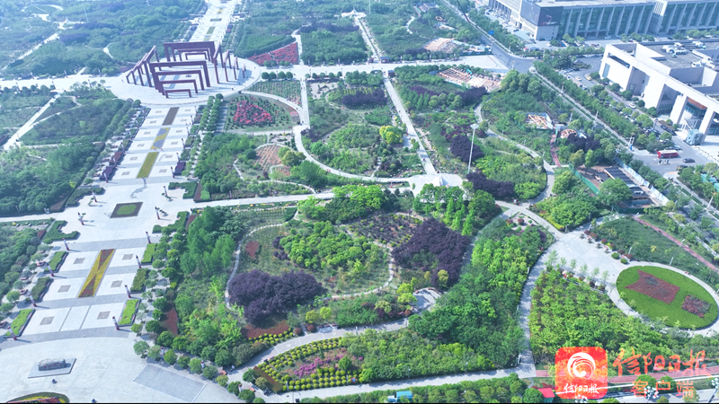 香港猛料免费资料