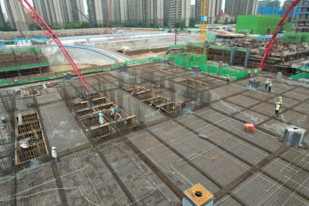 香港猛料免费资料